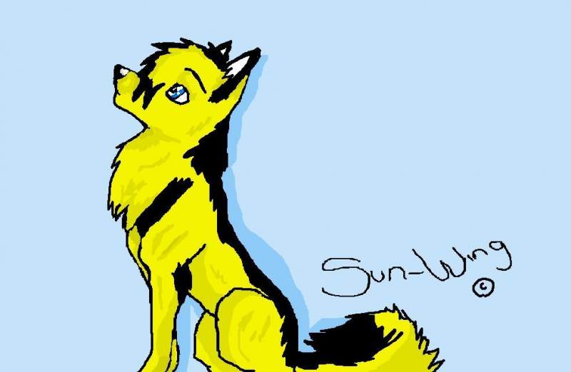 sun-wing (c)