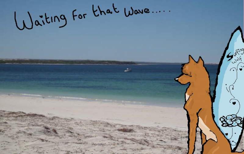 waiting for that wave