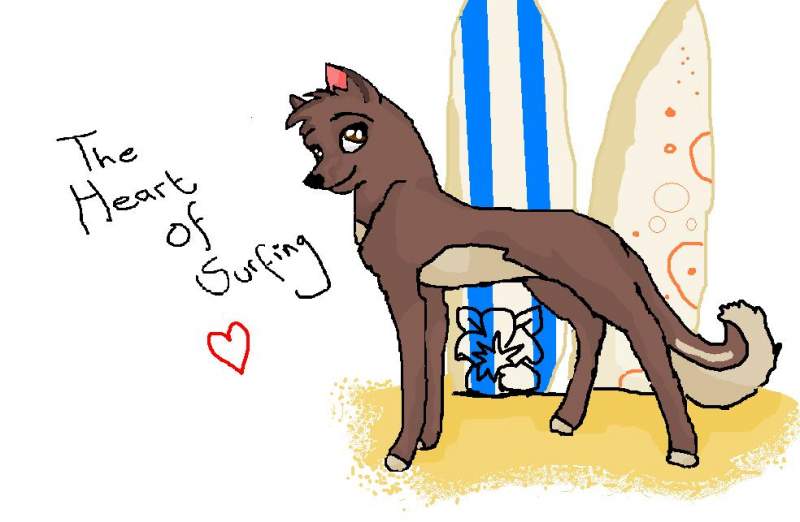 the heart of surfing :D