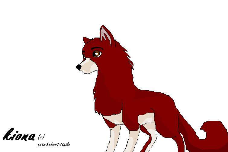 kiona for catwhohas14tails(C)