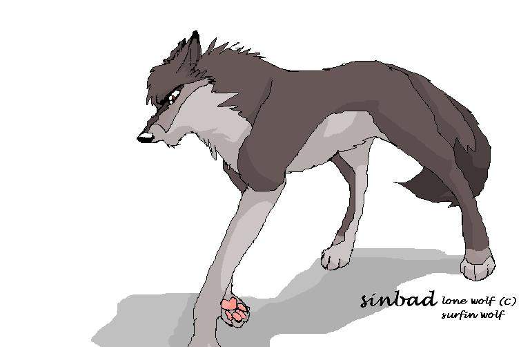 sinbad(C)surfin wolf  