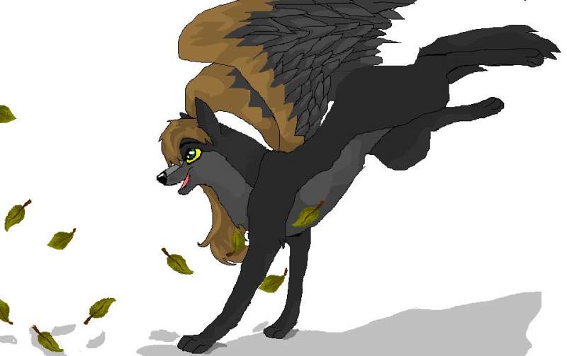 this is kib(C) art trade 