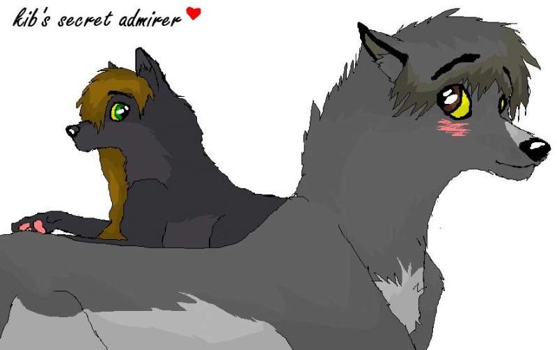 kib's secret admirer