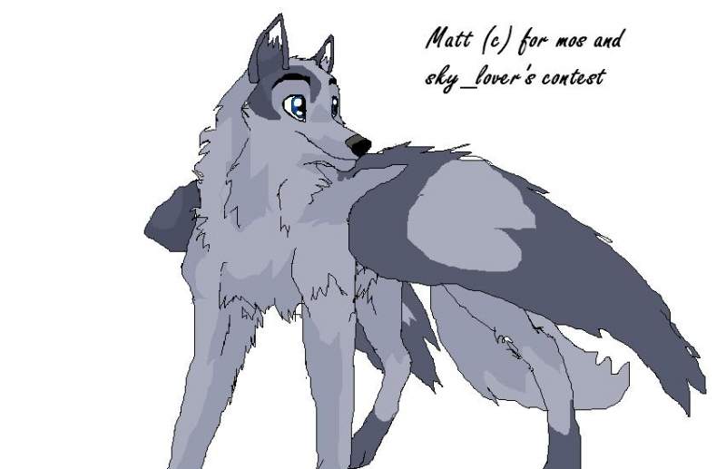 matt 