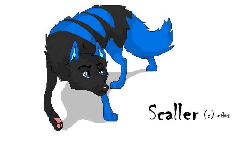 scaller for odas (c) 