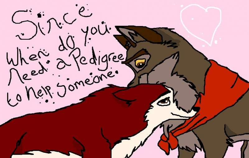 jenna and balto