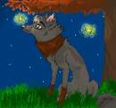 chad and fireflies :)