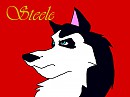 steele!!!