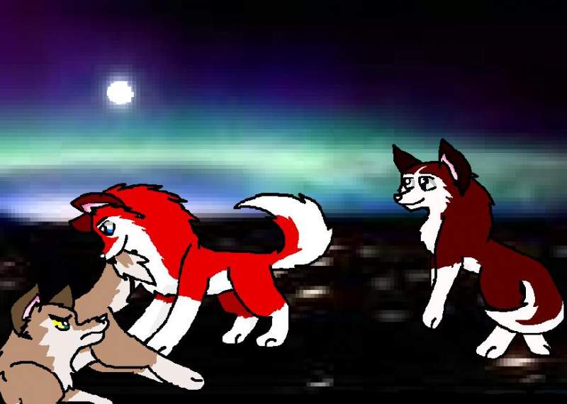 Lights!Camera!Tails!?