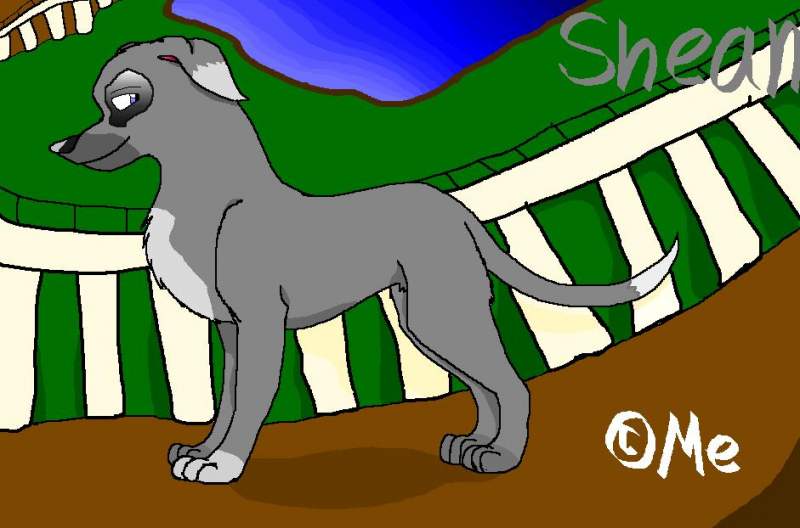 Fast as a Rabbit,stings like a bee, It's Shean!