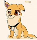Kaltag pup