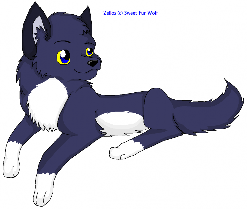 Lil Zelly n_n