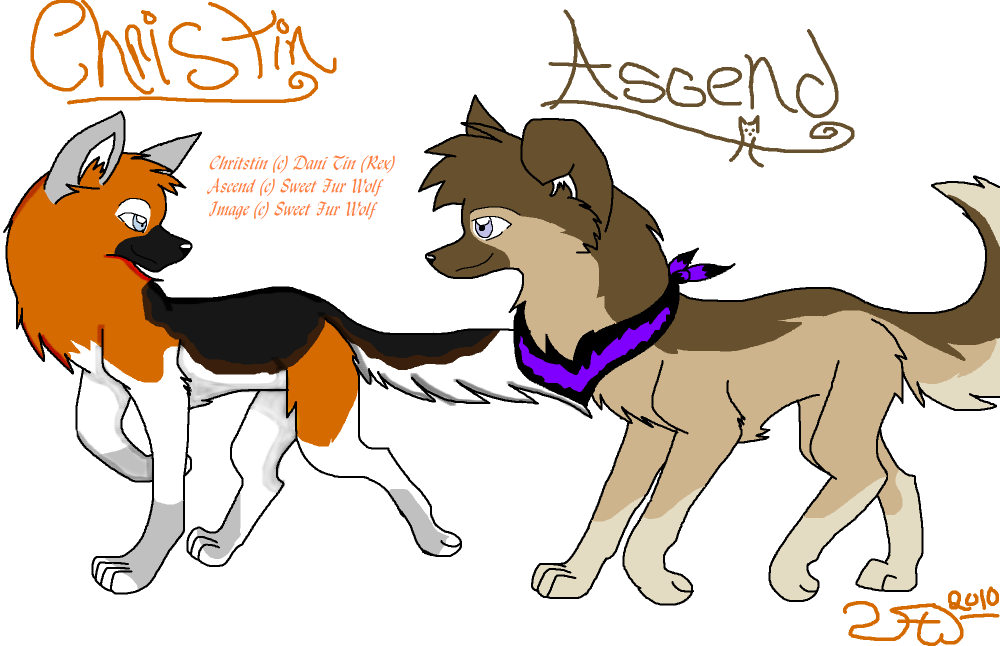 Art Trade with Rex: Fursonas