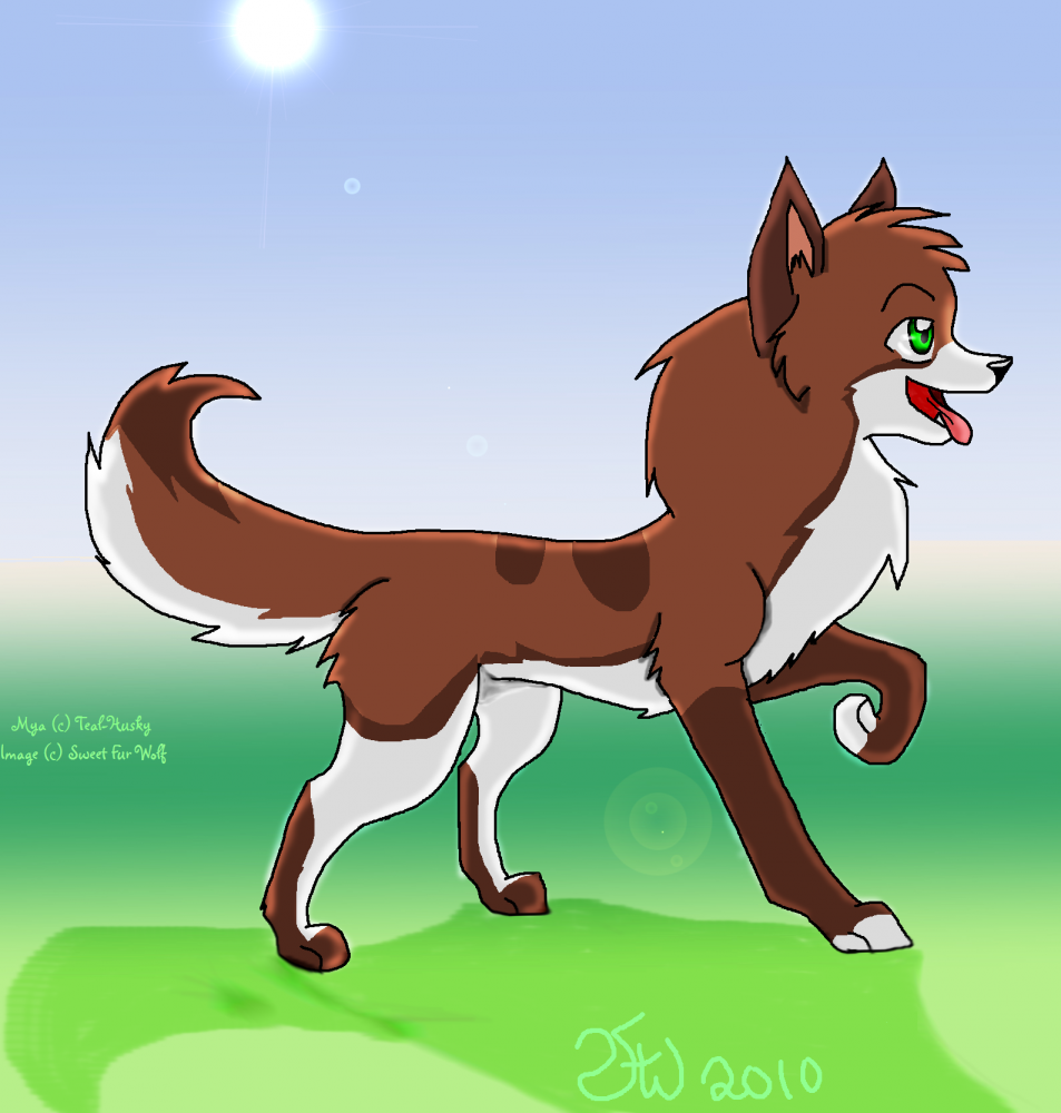 Mya, Request from Teal Husky
