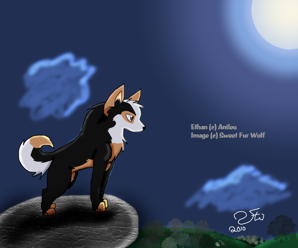 Solitude in Moonlight~ Request from Anileu