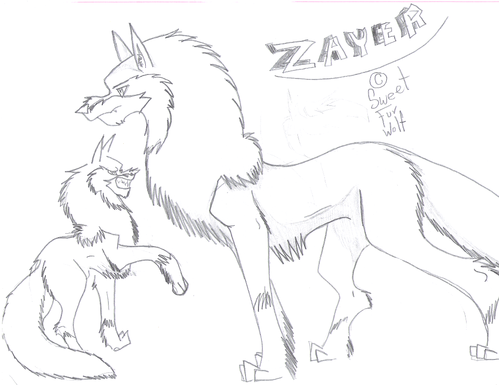 Zayer