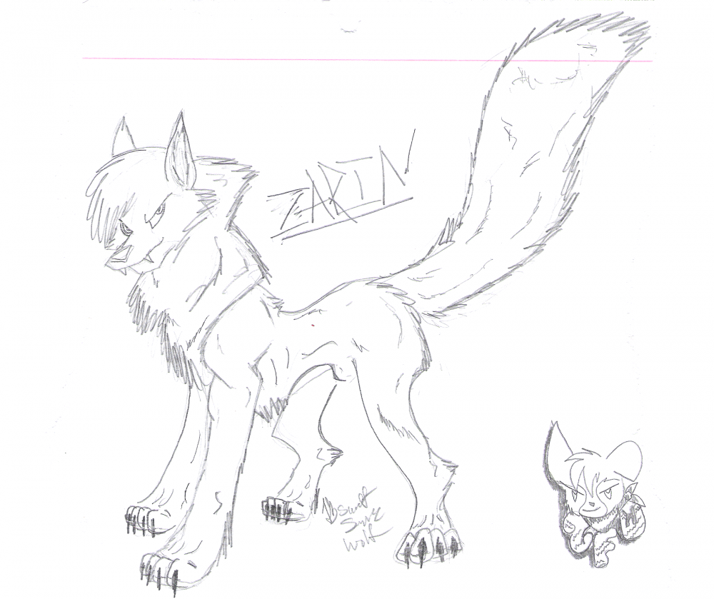 Zarin 8D