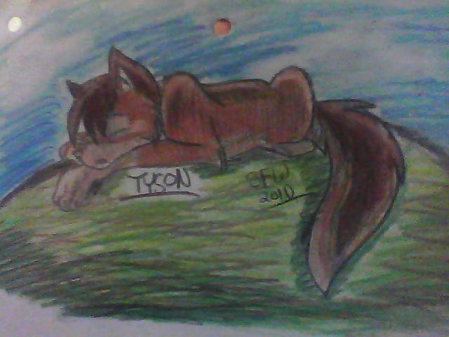 Tyson.... on cardboard O_o