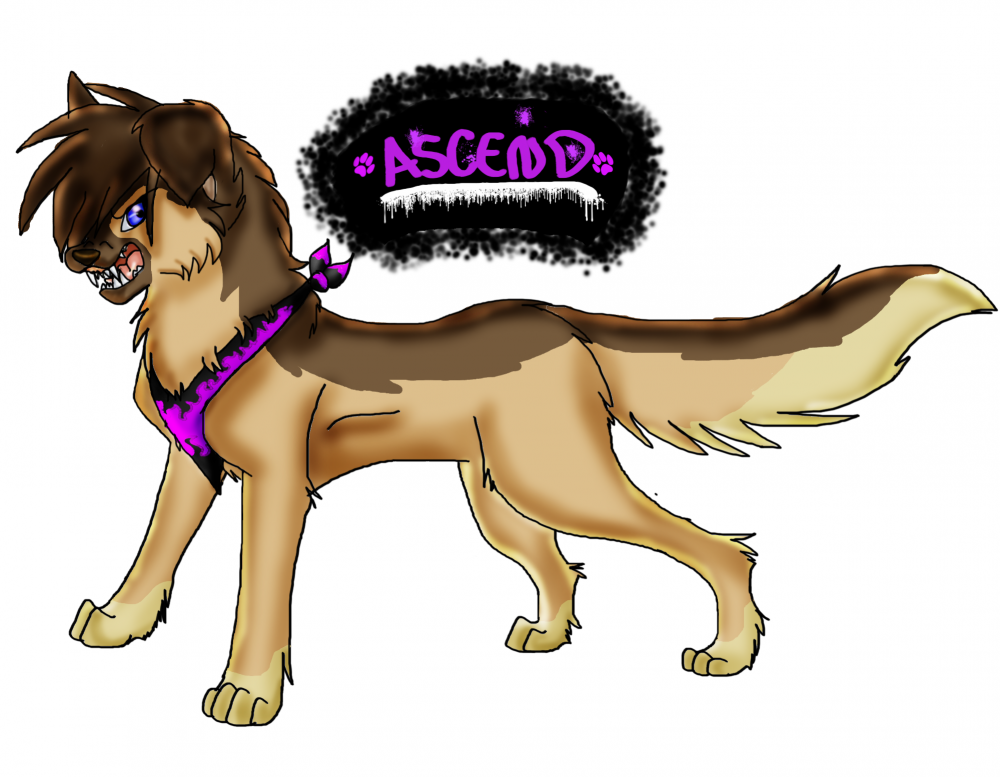 Angry Ascend