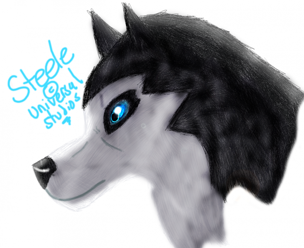 Steele Doodle