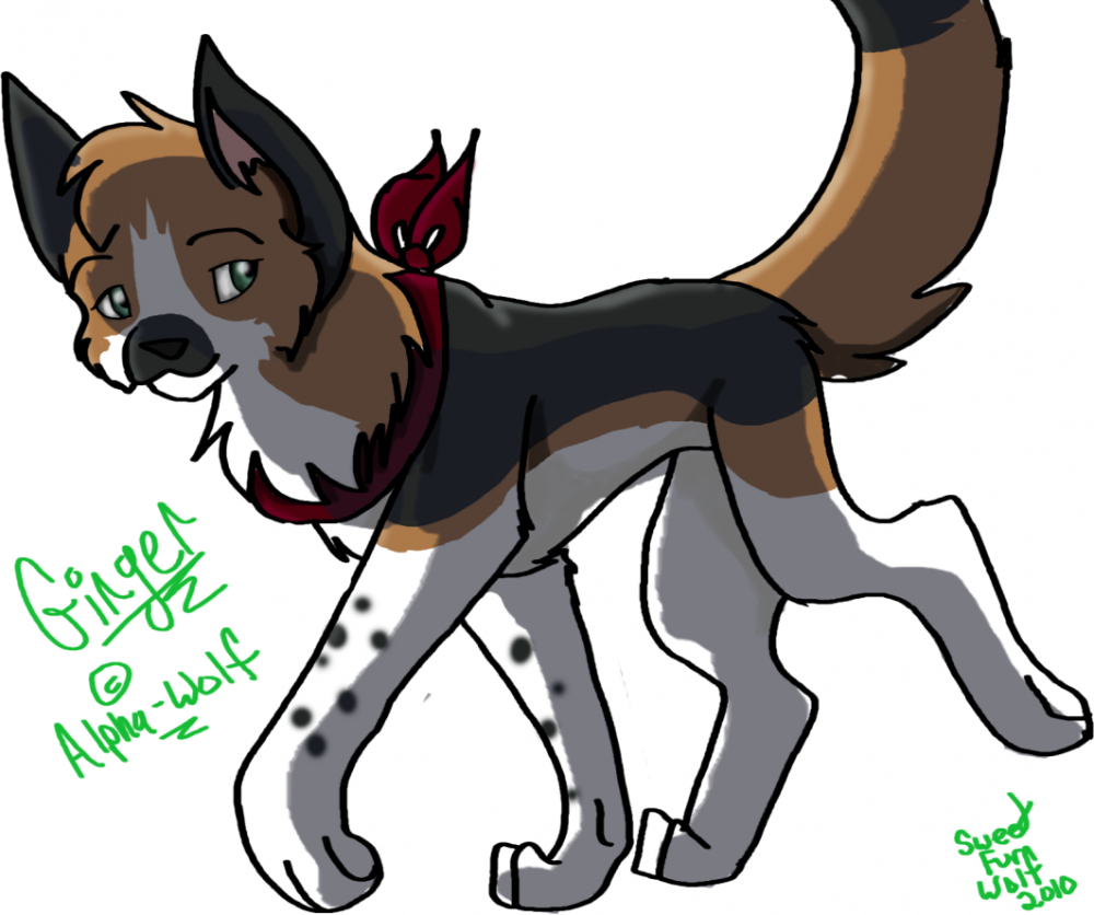 Request from Alpha-Wolf
