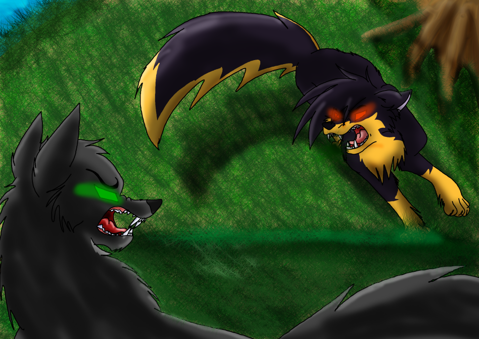 Play Fight!... No wait.. this is serious o.o