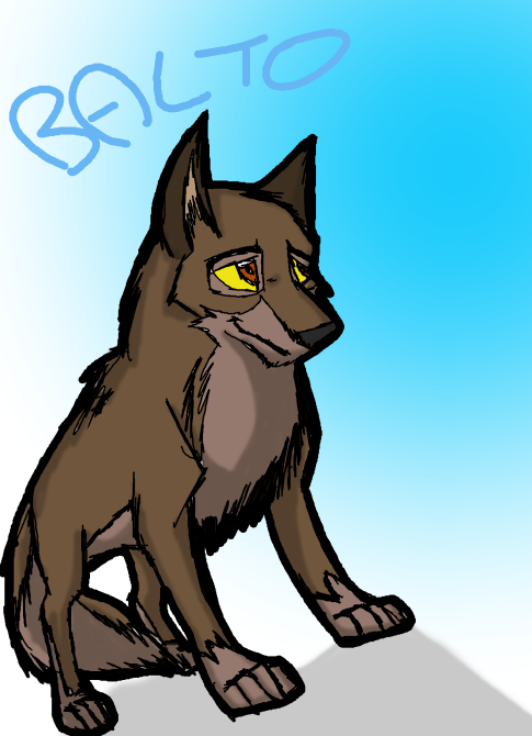 Balto doodluz