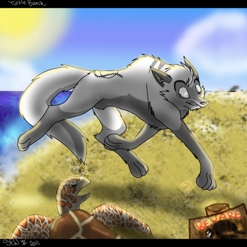 Request from RioLil'C