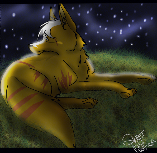 Request from Moki Hunter