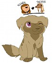 Fan-puper