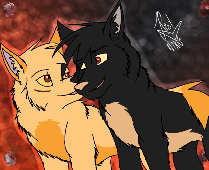 Embers