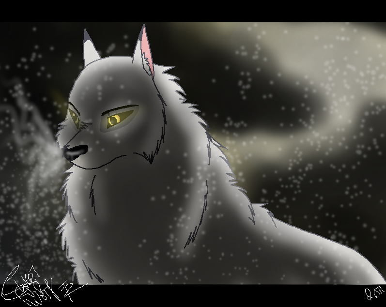 Cold Solitude