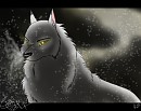 Cold Solitude