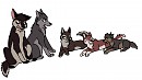 Aleu Babies