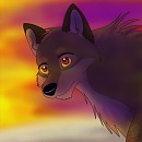 Dat Balto