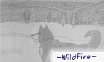 -WildFire-
