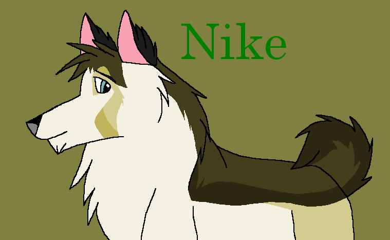 Nike - Trade with Anileu