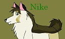 Nike - Trade with Anileu