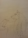  The Wolf & The Raven 