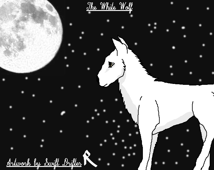The Moon & The Wolf