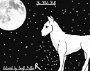 The Moon & The Wolf