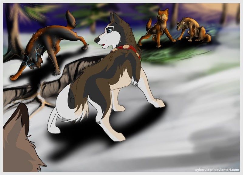 You Shouldn't pick on wolves...