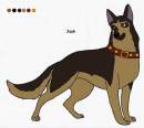 Jack