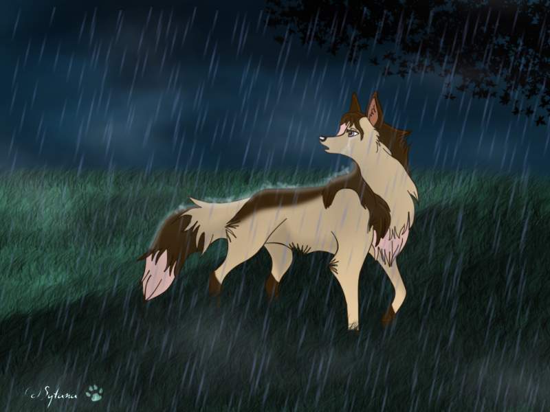 ...walking in the rain...