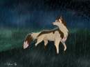 ...walking in the rain...