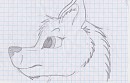 Wolf drawing