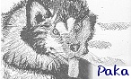 Wolufu