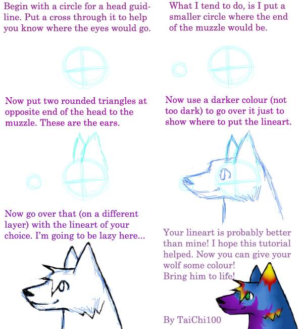 How To Draw A Wolf Head