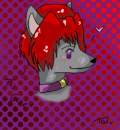Furry Wolfie!