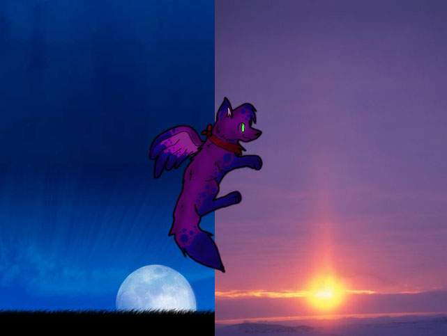 Wolufu The Puppy